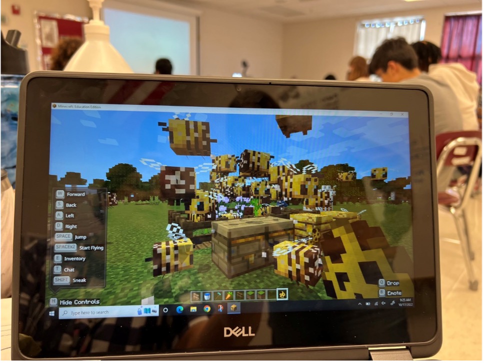 Minecraft Access Accessibility Outside the Box - NCCE